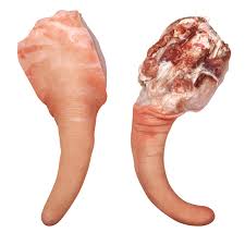 Pork Tail